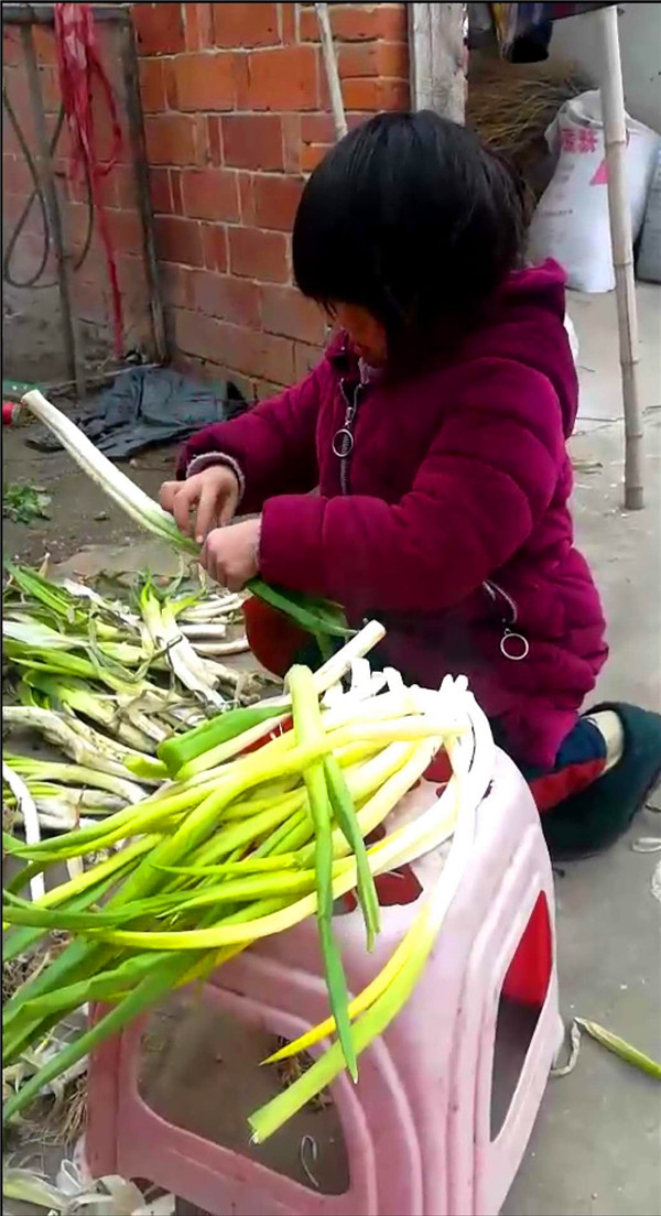 “我劳动，我快乐”香花镇中心小学德育实践活动掠影