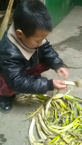 我感恩 我行动 淅川县九重二中冬令营孝亲敬老正热火