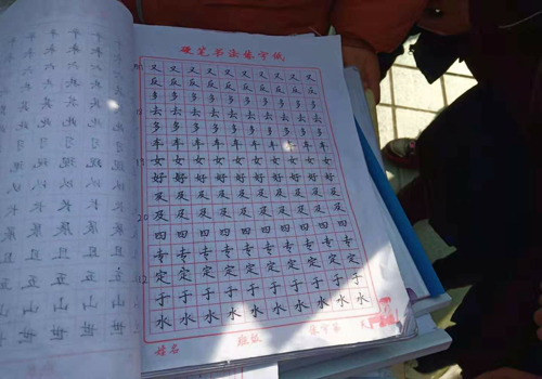 淅川县一小：展寒假作业 亮学生风采