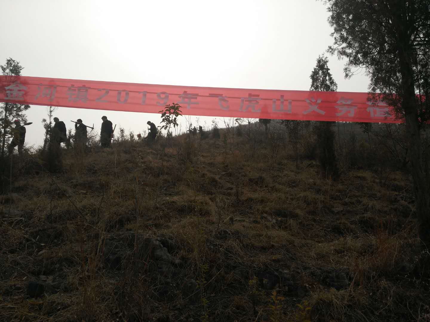 环保常出力，青山伴我行 ——金河希望小学响应植树号召