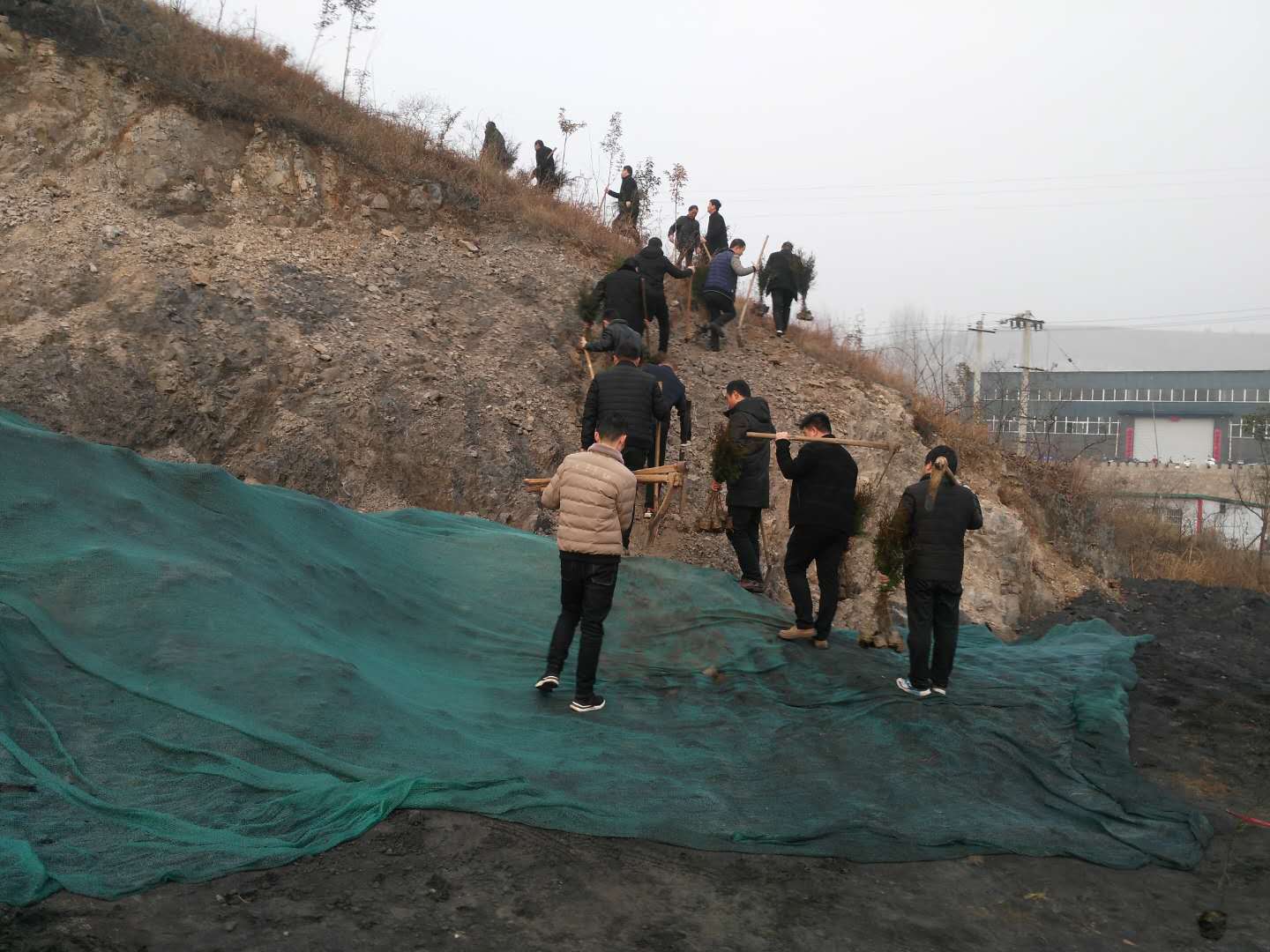 环保常出力，青山伴我行 ——金河希望小学响应植树号召