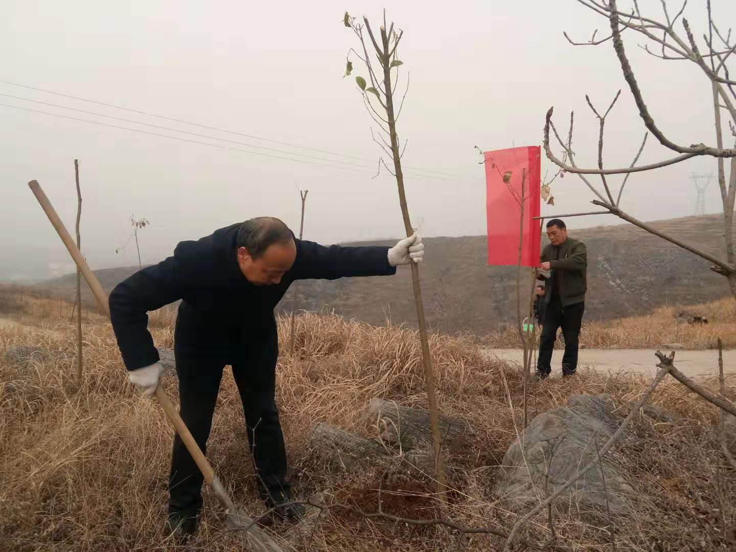 淅川县寺湾镇组织教师开展义务植树活动
