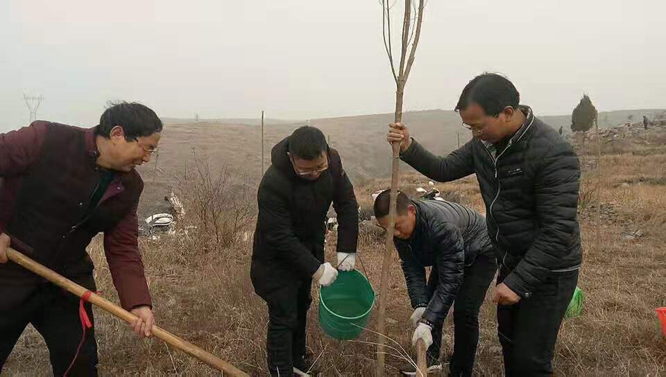 淅川县寺湾镇组织教师开展义务植树活动