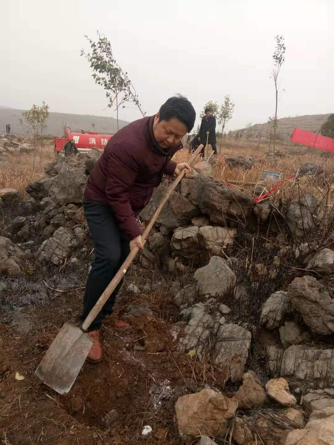 淅川县寺湾镇组织教师开展义务植树活动