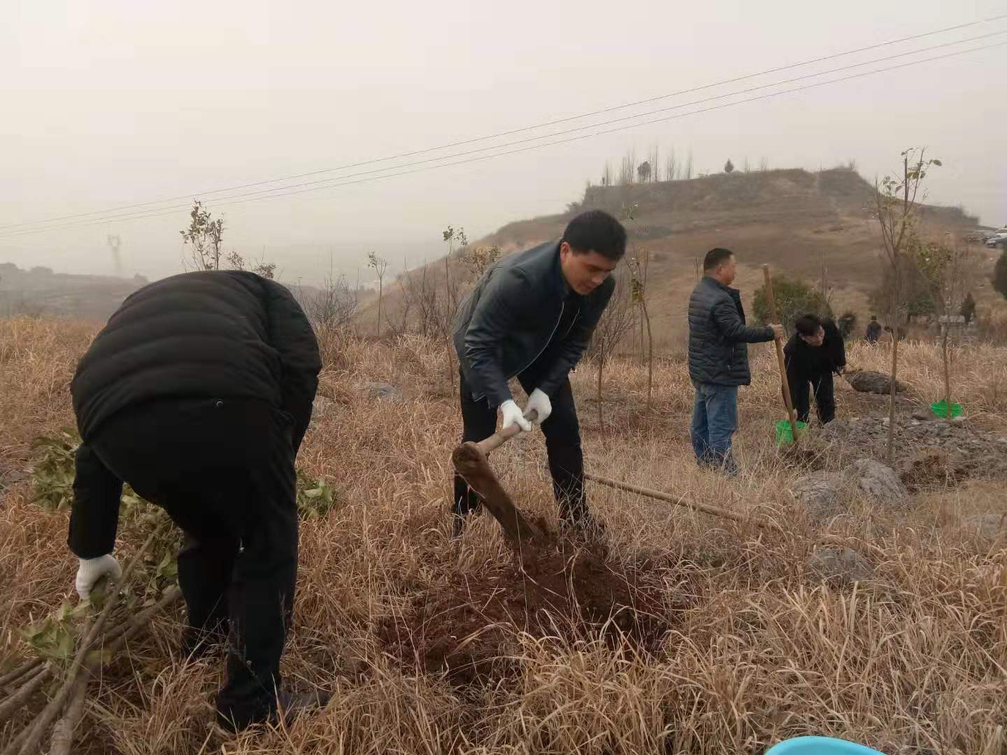 淅川县寺湾镇组织教师开展义务植树活动