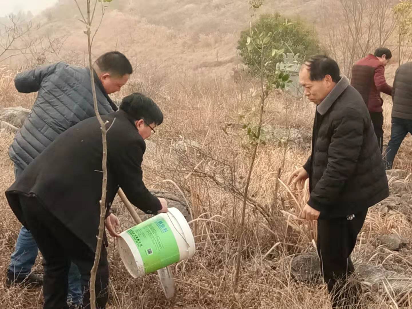 淅川县寺湾镇组织教师开展义务植树活动