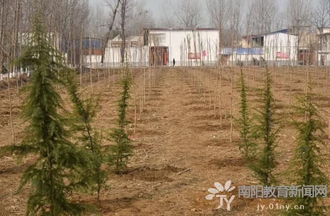 南阳汉冢人口_河南南阳盘鼓舞汉画像