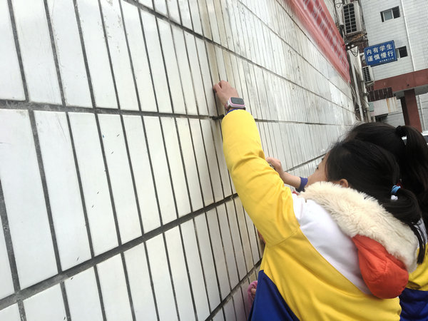 清洁社区卫生 传承雷锋精神