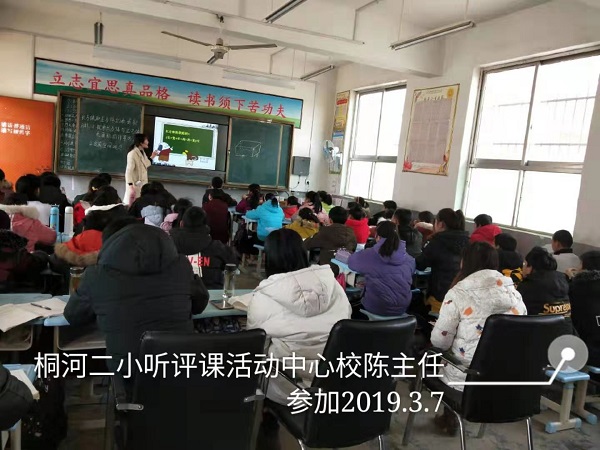 唐河县桐河乡第二中心小学片区成功举行2019年春期示范引领课活动
