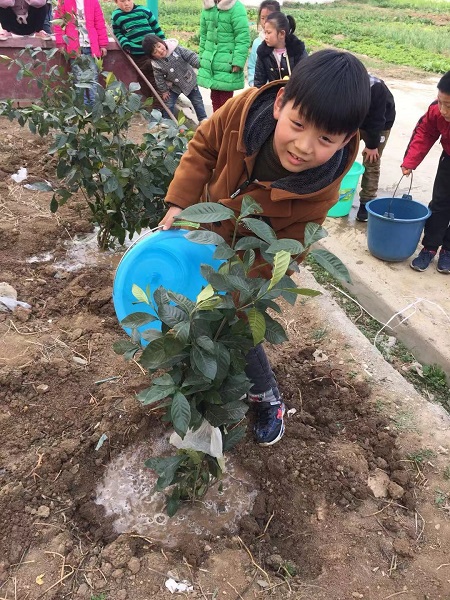 毕店镇大牛庄小学开展植树活动