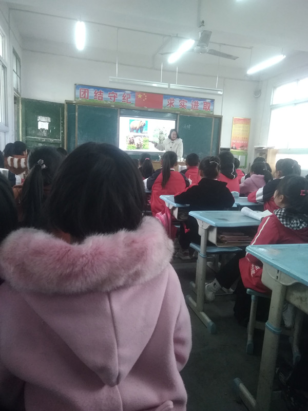 马振抚镇第一中心小学举行教师赛课活动