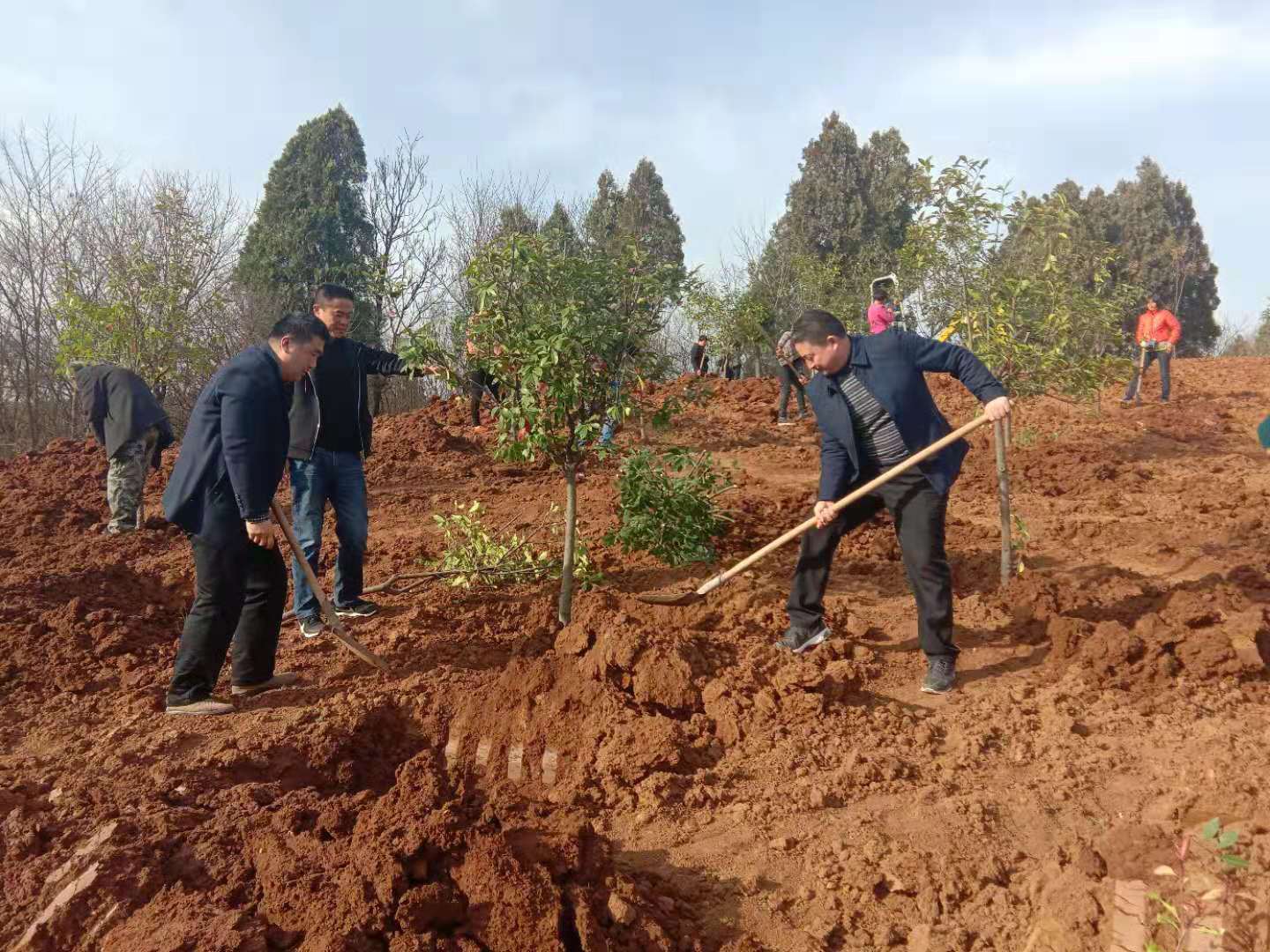 丹水泛碧波 绿树映春晖 ——河南省淅川县仓房镇踏踏实实抓好绿化工程