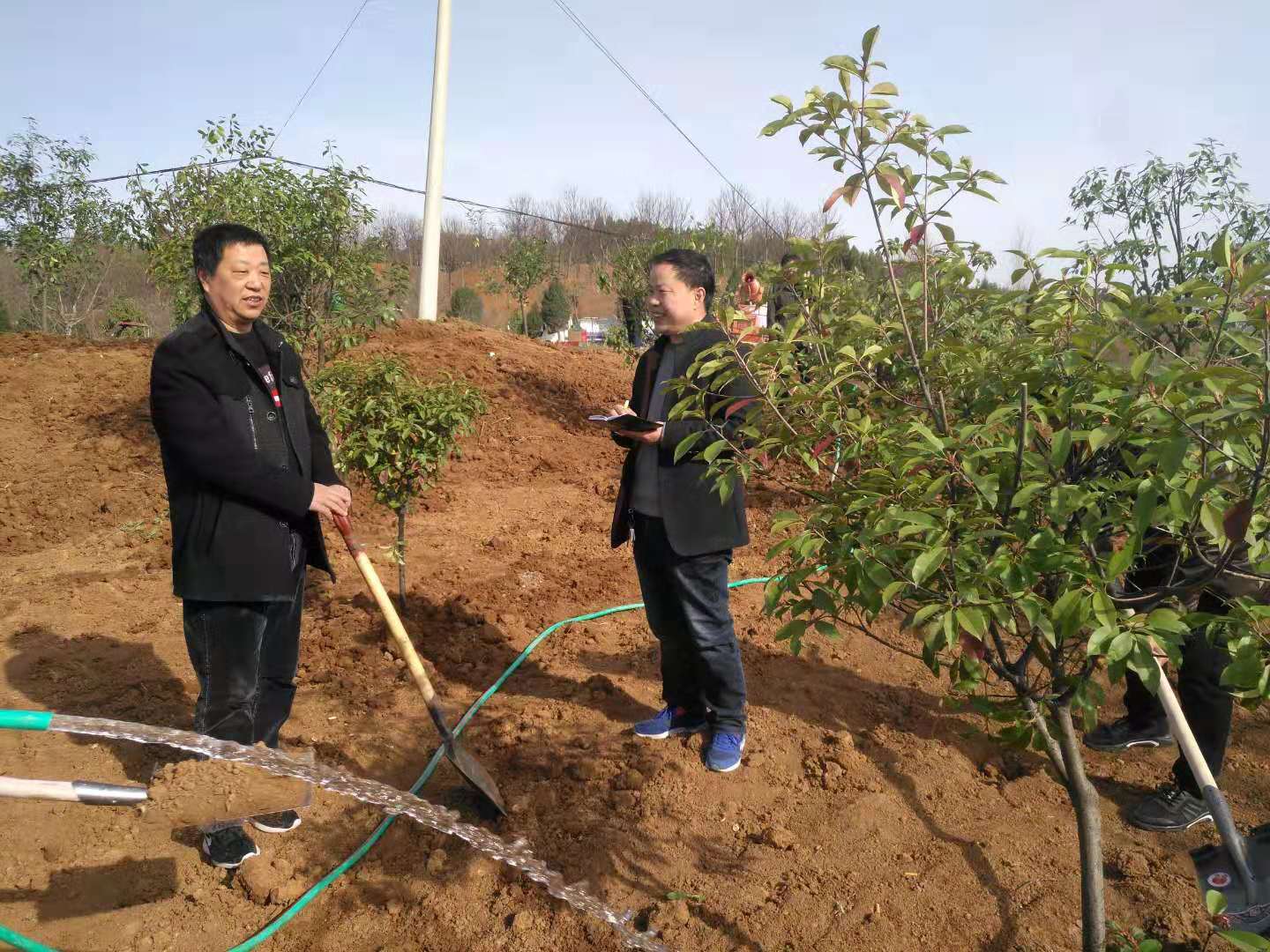 丹水泛碧波 绿树映春晖 ——河南省淅川县仓房镇踏踏实实抓好绿化工程