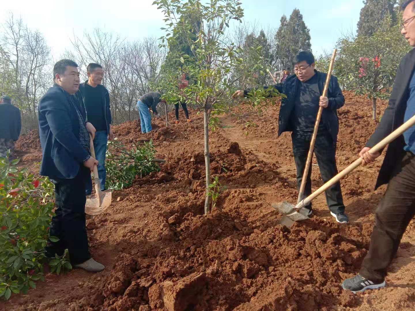 丹水泛碧波 绿树映春晖 ——河南省淅川县仓房镇踏踏实实抓好绿化工程