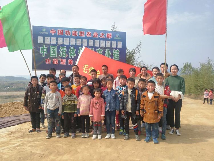 亲近自然山水 点燃青春激情——淅川县老沟小学远足活动纪实