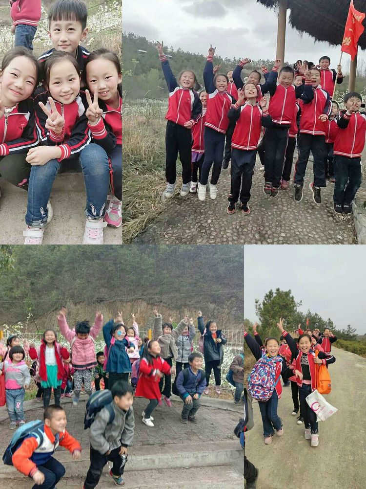淅川县毛堂乡第一中心小学：组织全校师生和春天约会