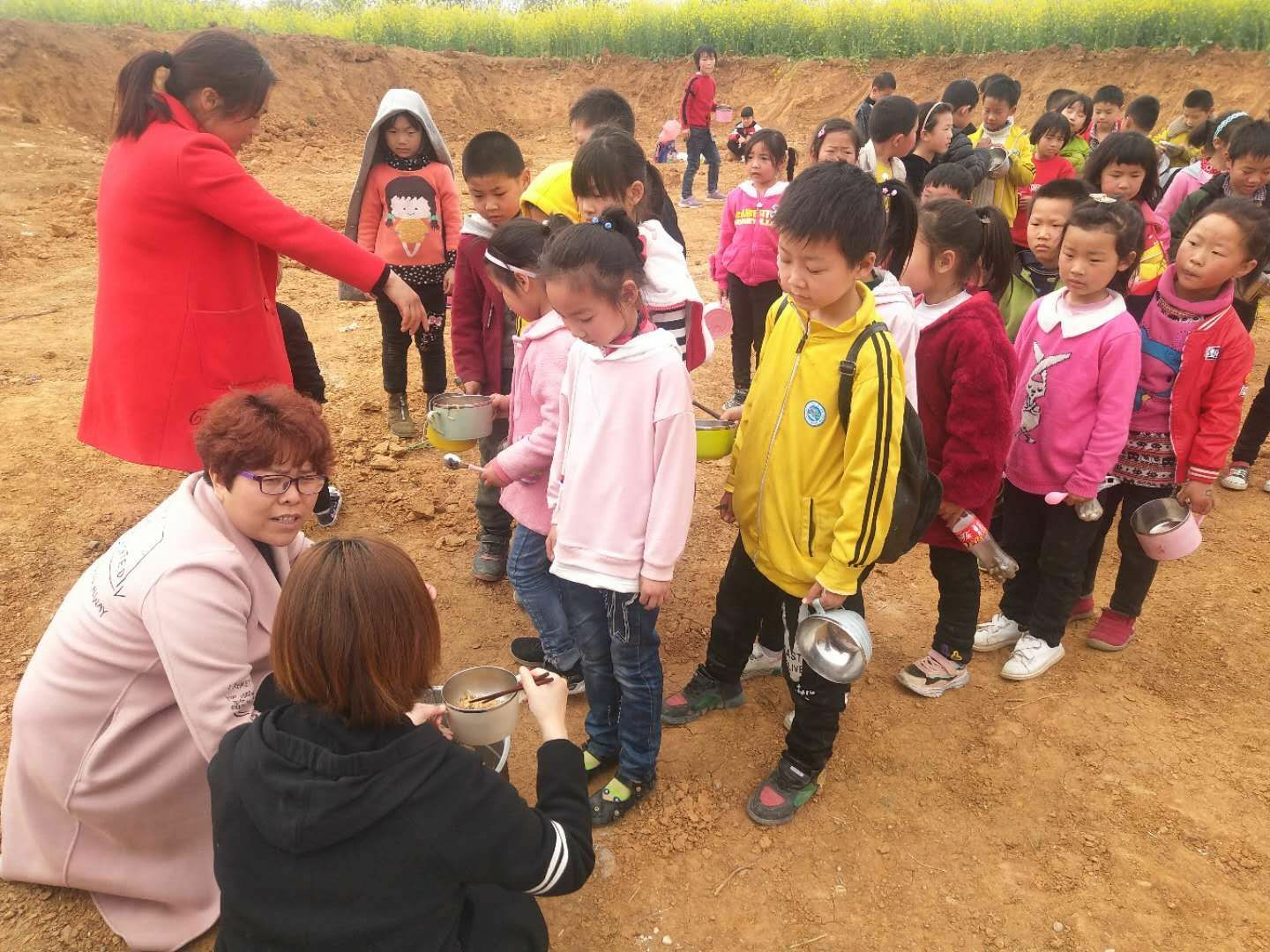 淅川县毛堂乡张营小学：组织全校师生踏春赏梨花