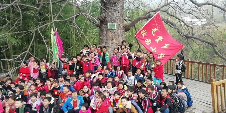 远足拉练赠意志 迎着春阳赏梨花——淅川县毛堂乡牧园学校春季远足活动纪实