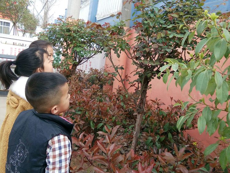 淅川县毛堂乡张营小学：组织全校师生赏春 诵春 赞春