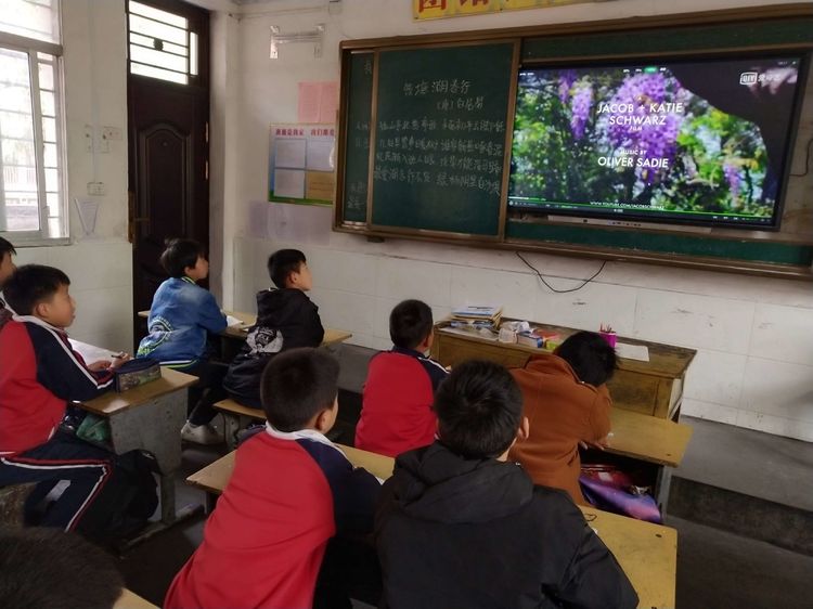 春天宠爱之际 奥数社团春诗竞诵竞风流
