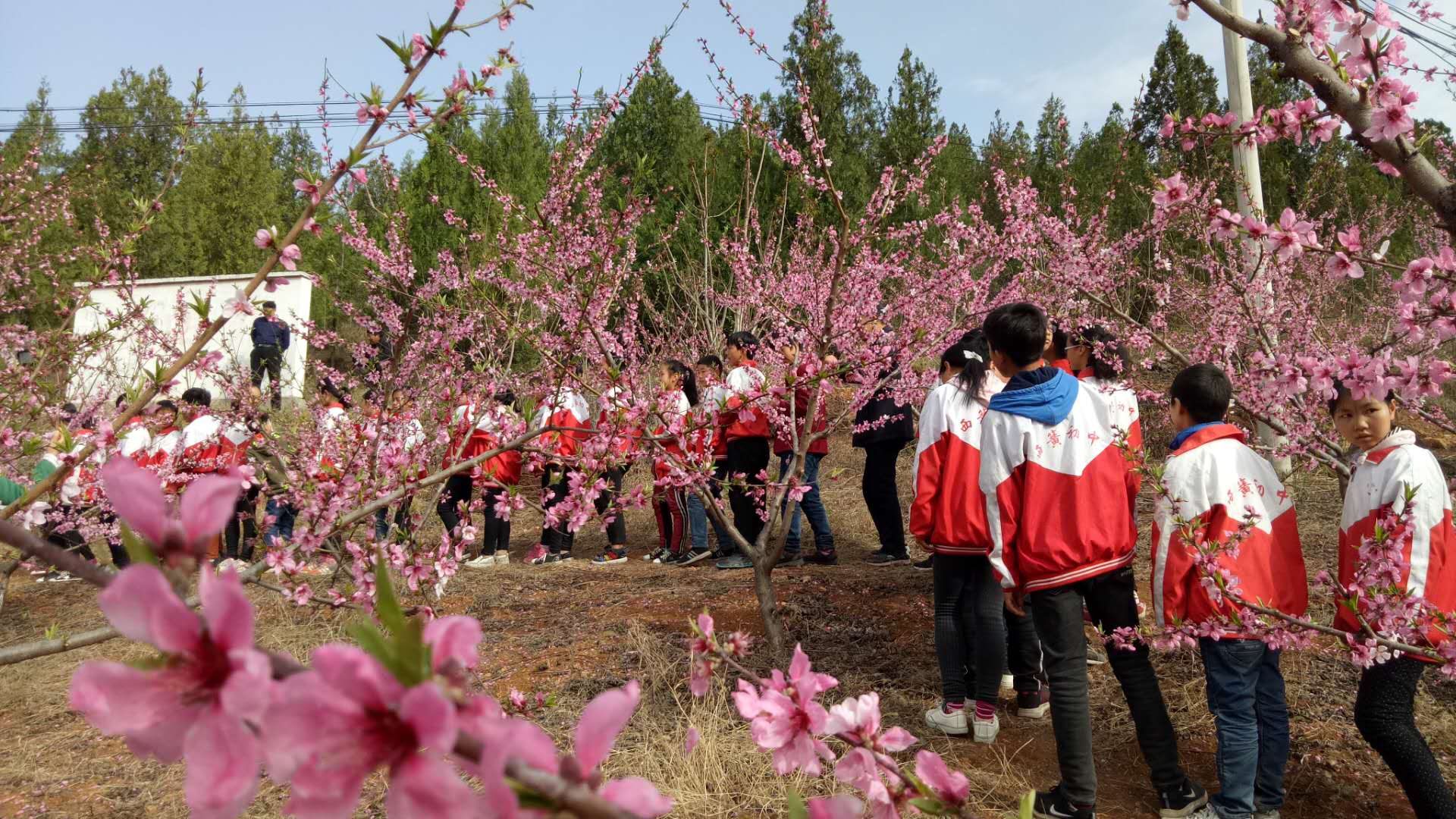 淅川县西簧乡初中开展2019春期远足及野炊综合实践教育活动
