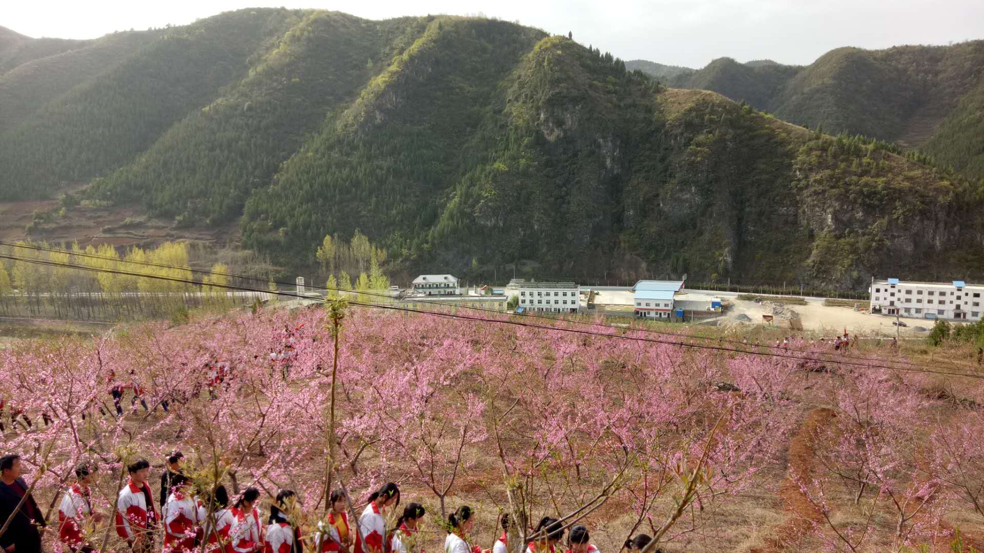 淅川县西簧乡初中开展2019春期远足及野炊综合实践教育活动