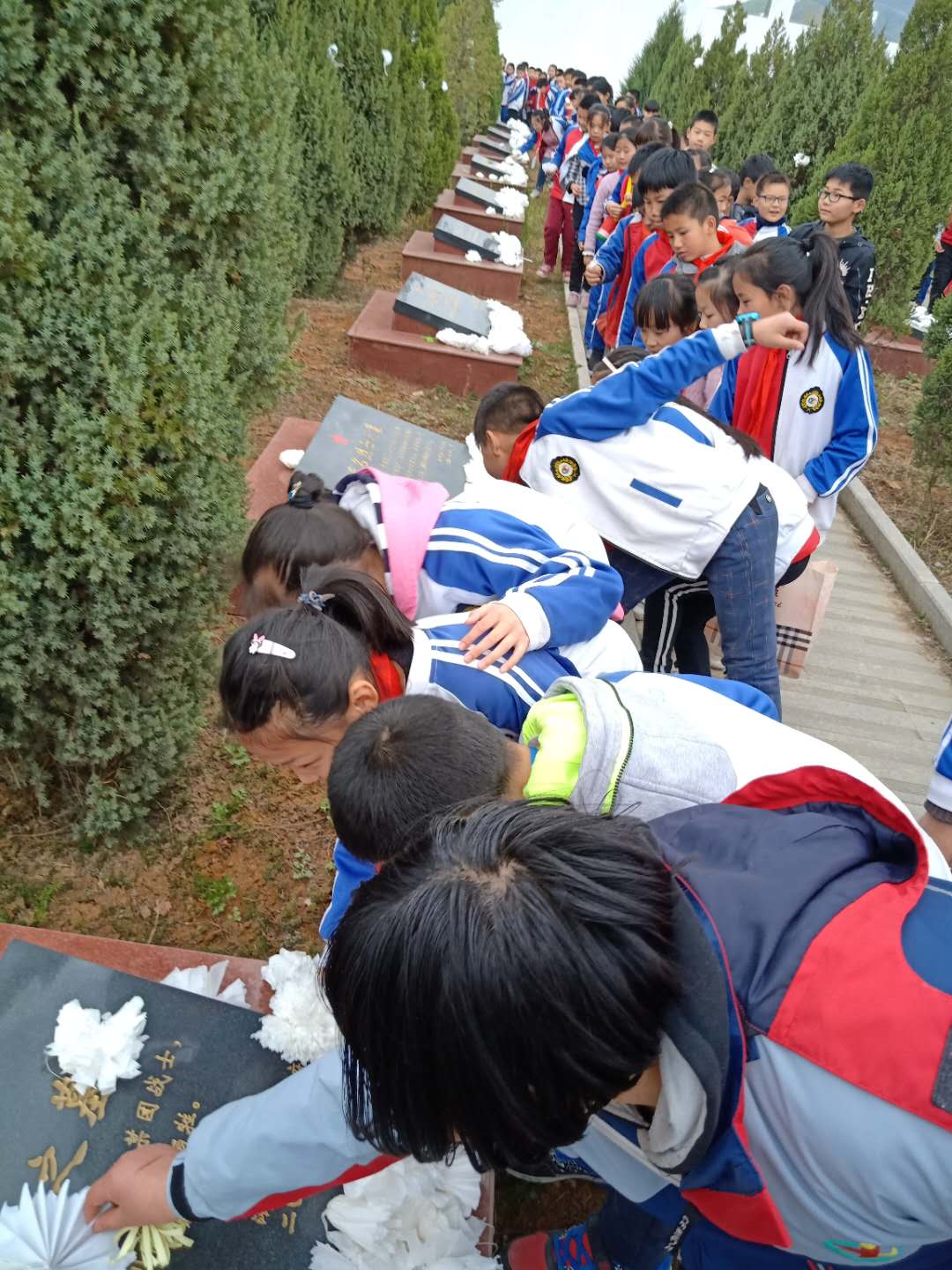 淅川一小：师生清明陵园扫墓 革命精神薪火相传