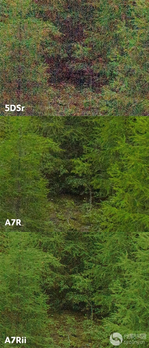 索尼A7RII与佳能5DSR宽容度对比测试-器材装